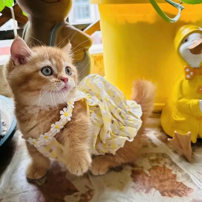 Cute Instagram Cat Summer Clothes Little Skirt Anti-hair Old Crepe Muppet Cat English Short Pet Vest Halter Clothes
