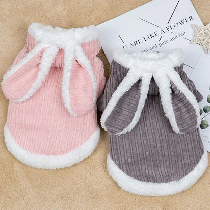 Warm Winter Clothes for Kittens Cute Bunny Appearance Cat Clothes Puppy Cute Coat Cats Dog Supplies Pet Products Home Garden