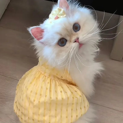 Cute Instagram Cat Summer Clothes Little Skirt Anti-hair Old Crepe Muppet Cat English Short Pet Vest Halter Clothes