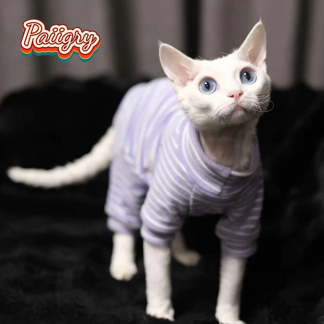 Hairless cat clothes tricolor four-legged clothes Sphinx warm high stretch home four-legged clothes pet clothing