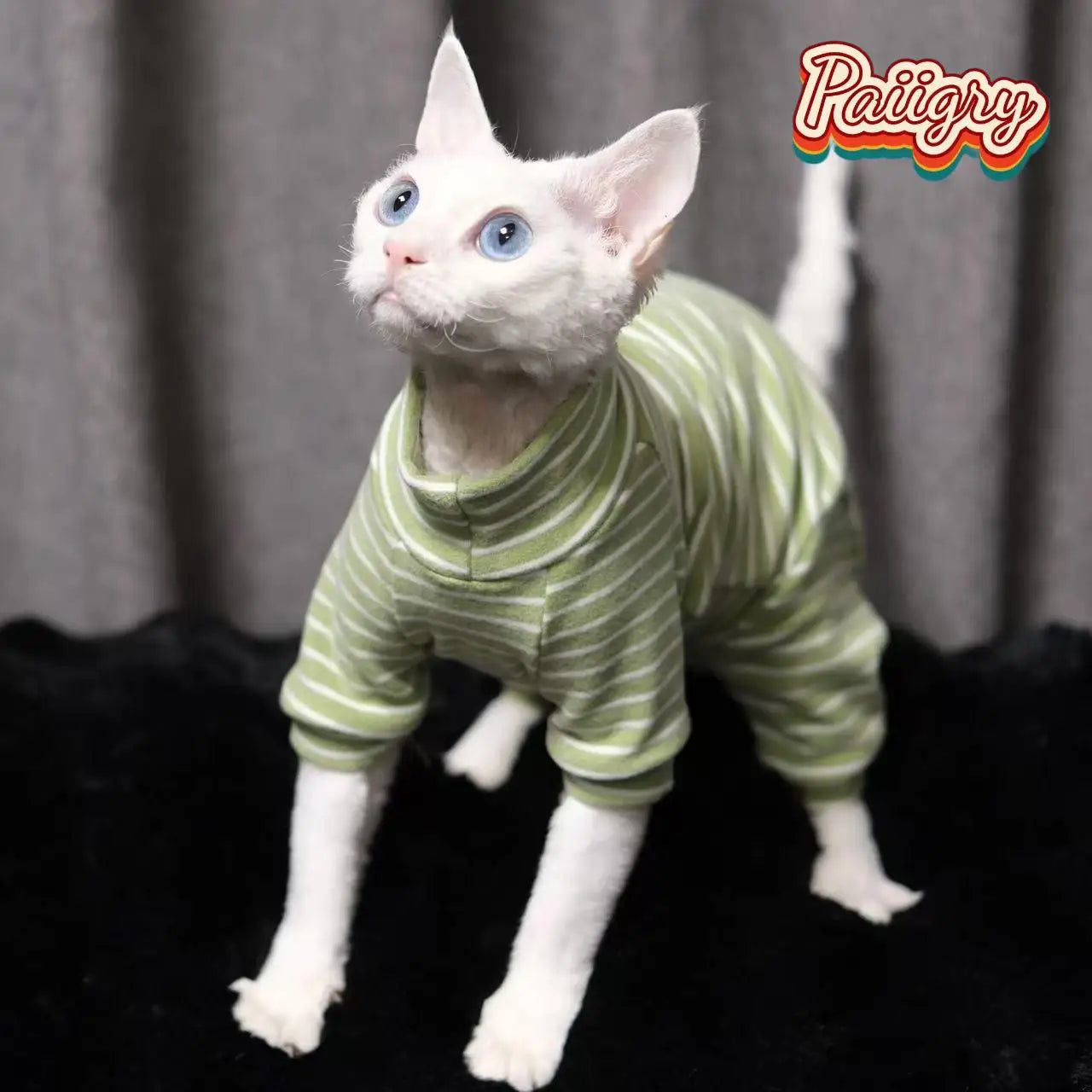 Hairless cat clothes tricolor four-legged clothes Sphinx warm high stretch home four-legged clothes pet clothing