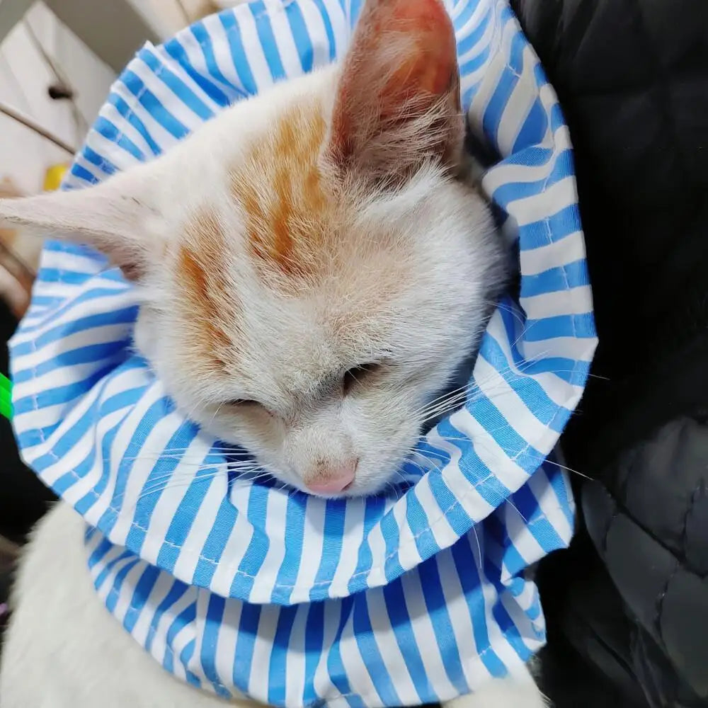 Adorable Pet Accessories Elizabeth Collar Anti-Itch Worm Repellent Sterilization Scarf Dogs Cats Supplies 2024 New