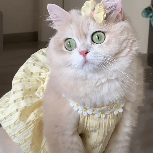 Cute Instagram Cat Summer Clothes Little Skirt Anti-hair Old Crepe Muppet Cat English Short Pet Vest Halter Clothes