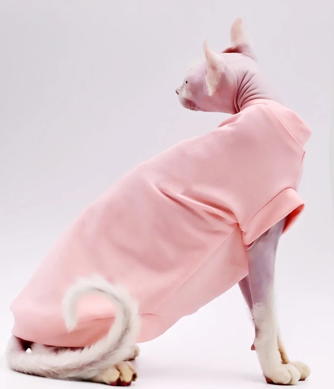Cotton vest for cat, soft and sleeveless, thin and soft, for Devon and Cornish, summer