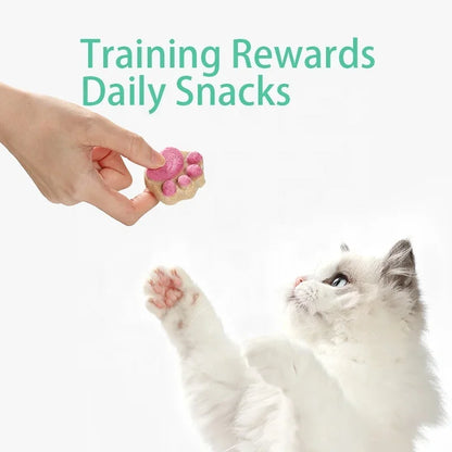 Cat Freeze Dried Snacks High Protein Chicken Fruits and Vegetables Freeze Dried Food for Pet