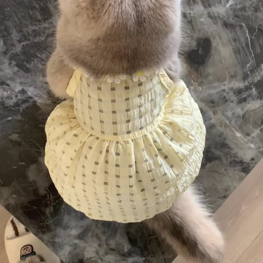 Cute Instagram Cat Summer Clothes Little Skirt Anti-hair Old Crepe Muppet Cat English Short Pet Vest Halter Clothes