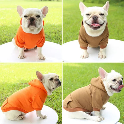 Pet  Clothes Small Medium-sized Pet Schnauzer Pure Hooded Sweatshirt Luxury  Fashion Hoodie for Cats and Dogs