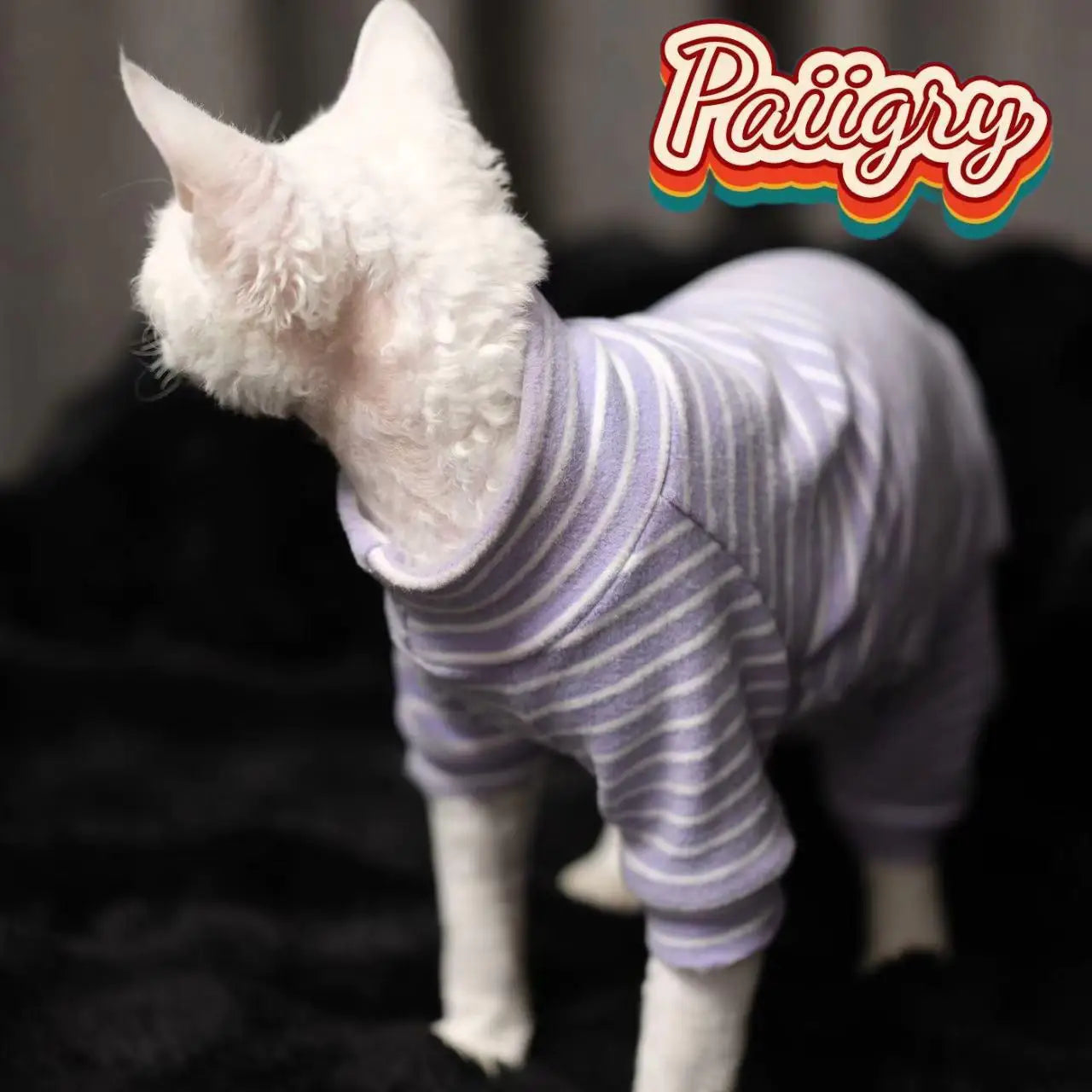Hairless cat clothes tricolor four-legged clothes Sphinx warm high stretch home four-legged clothes pet clothing