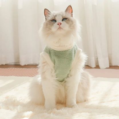 Cute Autumn and Winter Cat Clothing for Dogs and Dogs Warm and Thick Vest To Prevent Hair Loss Pet Clothing for Small Dogs