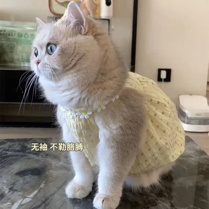 Cute Instagram Cat Summer Clothes Little Skirt Anti-hair Old Crepe Muppet Cat English Short Pet Vest Halter Clothes
