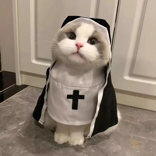 Pet Halloween costumes - funny and quirky costume for dogs, Halloween nun outfits for cats, dog clothes for Halloween